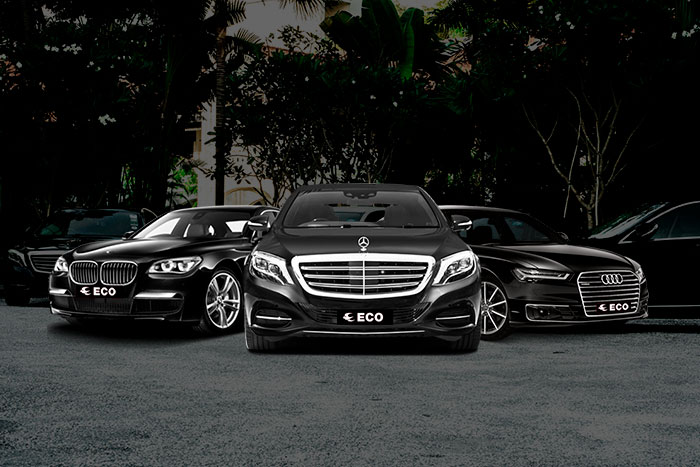 Baterias para Mercedez Benz, Bmw, Audi